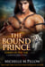The Bound Prince: A Qurilixen World Novel - Lords of the Var, #3