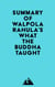 Summary of Walpola Rahula's What the Buddha Taught