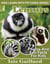 Lemurs Photos and Fun Facts for Kids - Kids Learn With Pictures, #105