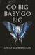 Go big baby go big - Wie Sie als Big Player das Spiel des Lebens gewinnen und die Welt retten