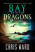 Benjamin Forrest and the Bay of Paper Dragons - Endinfinium, #2