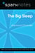The Big Sleep (SparkNotes Literature Guide)
