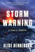 Storm Warning - A Novel of Suspense