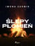 Slepy plomien