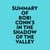 Summary of Bobi Conn's In The Shadow Of The Valley