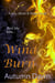 Wind Burn - Fire, Stone & Water, #4