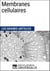 Membranes cellulaires - Les Grands Articles d'Universalis