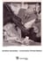 Vulnerabilia (Printed Matter)