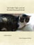 Der Kater Tiger und ein Krankenhausaufenthalt