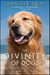 The Divinity of Dogs - True Stories of Miracles Inspired by Man's Best Friend