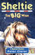 Sheltie: The Big Wish