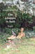 Une échappée en forêt : Roman