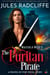 The Puritan Pirate - Master and Mate, #1