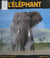 L'éléphant