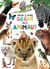 Mon livre géant des animaux