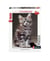 Puzzle Le chat Maine Coon - 1000 pièces