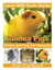 Guinea Pigs Photos and Facts for Everyone - Learn With Facts Series, #87