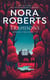 Songes d'Irlande (Tome 2) - Trahisons