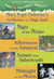 Magic Tree House Books 5-8 Ebook Collection - Mystery of the Magic Spells