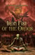 Iron Fist of the Oroqs - The Foundation of Drak-Anor, #2
