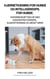 Hjernetræning for Hunde og Intelligensspil for Hunde:   Hundebeskæftigelse med Koncentrationsspil, Klikkertræning og Meget Mere