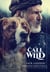 The Call of the Wild: The Original Classic Novel Featuring Photos from the Film