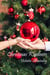 Christmas Kindness - Christmas, #6