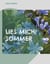 Lies mich! Sommer - Magazin in einfacher Sprache