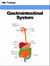 Gastrointestinal System (Human Body) - Human Body