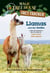 Llamas and the Andes - A nonfiction companion to Magic Tree House #34: Late Lunch with Llamas
