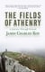 The Fields Of Athenry - A Journey Through Ireland