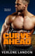 Dangerous Curve Ahead - On the Road to Love, #3