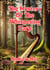 The Mystery Of The Whispering Harp - Dafydd Jones & Dolgwyn Cozy Mystery Series, #4