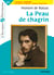 La Peau de chagrin - Bac Français 1re 2026 - Classiques et Patrimoine - Bac Français 2023