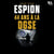 Espion - 44 ans à la DGSE