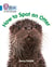 How to Spot an Otter - Band 04/Blue