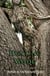 Hunting Wood: Alien Plant Sex - Erotic Flights of Fantasy, #3