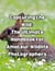 Capturing the Wild: The Ultimate Handbook for Amateur Wildlife Photographers