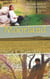 Moorland - The Adventures of Bucket and Arthur, #1