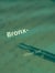 Bronx-Prinzessin