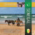 Senegal
