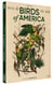 Birds of America - DVD
