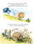 Les P'tites Poules Tome 19 : un petit dodo au poulailler