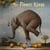 Waiting For Miracles - CD