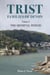 Trist Families of Devon: Volume 3 The Medieval Period - Trist Families of Devon, #3