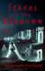 Echoes of the Unknown 2