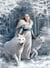 Puzzle 1000 pièces - Anne Stokes Collection - Winter Guardians