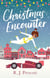 Christmas Encounter - the perfect feel good festive read