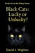 Black Cats: Lucky or Unlucky? - Wilizy, #22