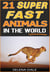 21 Super Fast Animals In The World - Weird & Wonderful Animals, #8